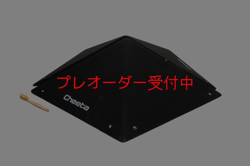 画像5: CT  Pentagon L/プレオーダー (5)
