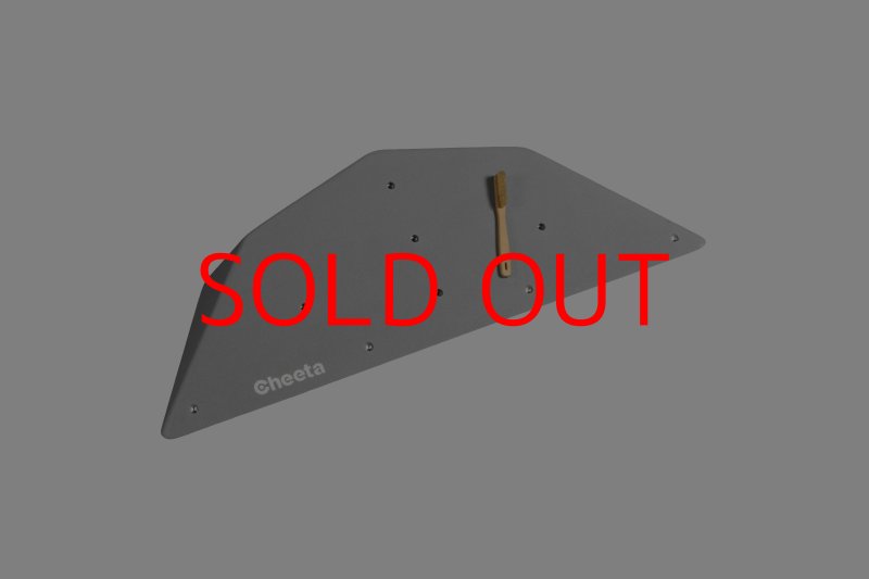 画像24: CT  Ball S2 (24)