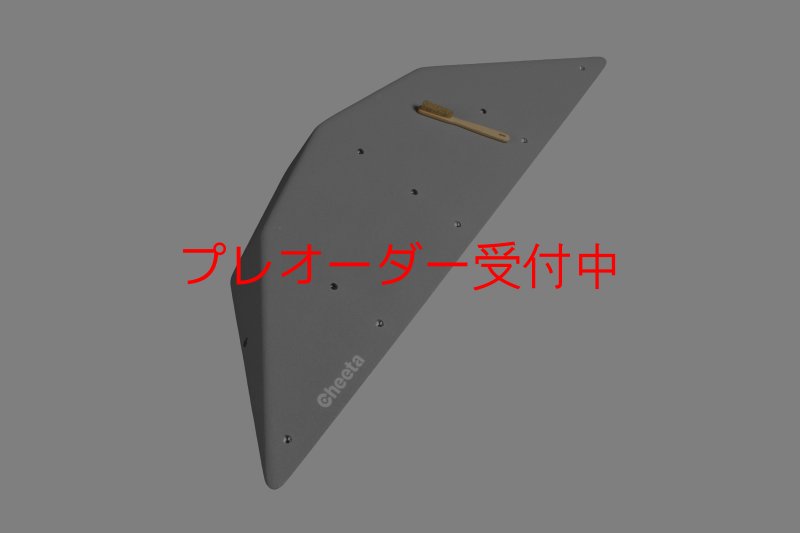 画像1: CT  Ball M4/プレオーダー (1)