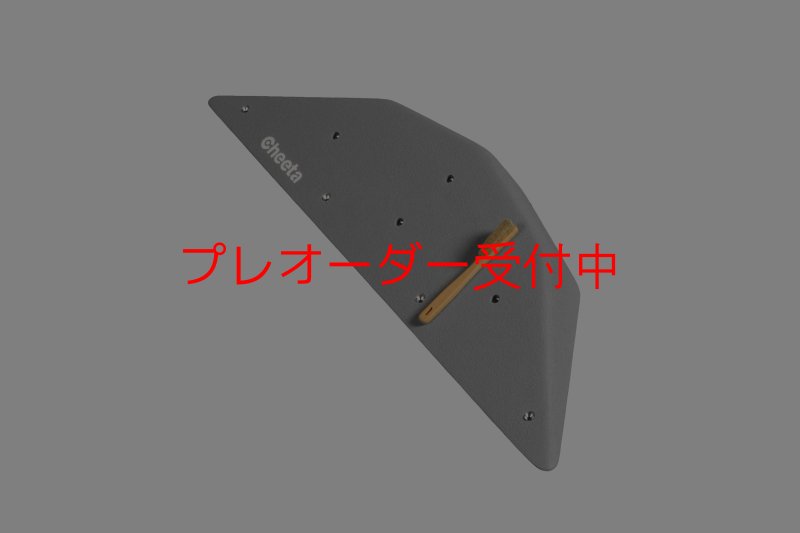 画像1: CT  Ball S4/プレオーダー (1)