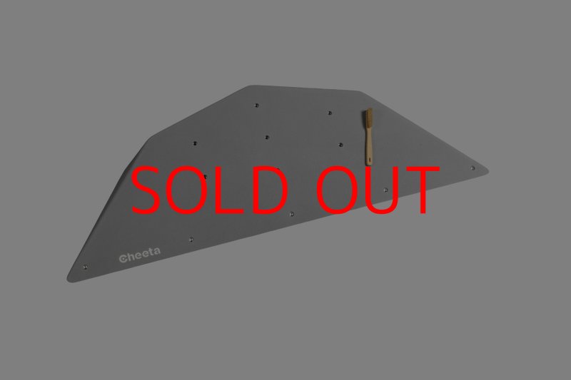 画像4: CT  Ball M2 (4)