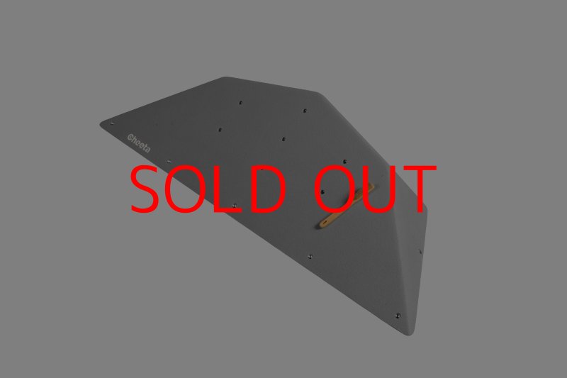 画像9: CT  Ball M2 (9)