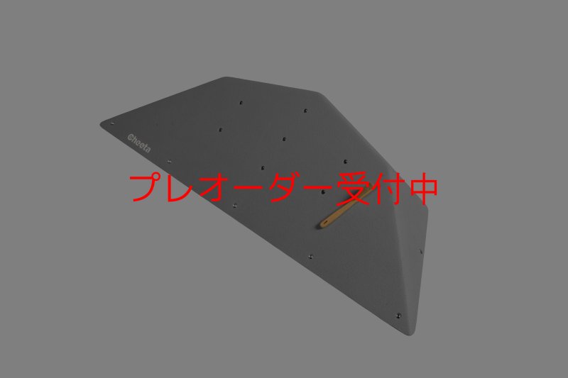 画像9: CT  Ball M2/プレオーダー (9)
