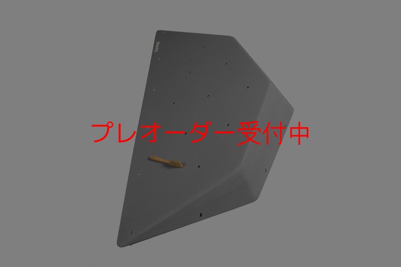 画像5: CT  Ball L1/プレオーダー (5)