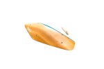 画像16: CT  Wooden boomerangs 2 (16)