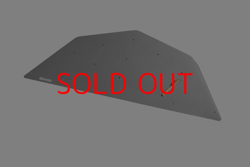 画像29: CT  Ball L1 (29)