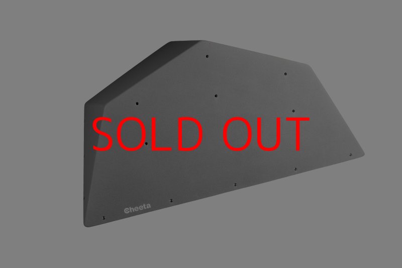 画像26: CT  Ball M5 (26)