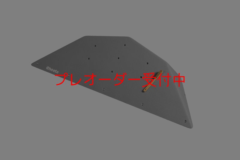 画像8: CT  Ball M2/プレオーダー (8)