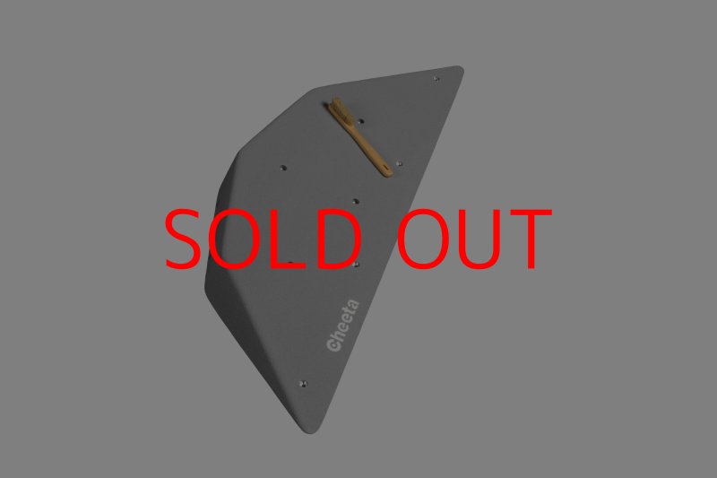 画像20: CT  Ball S3 (20)