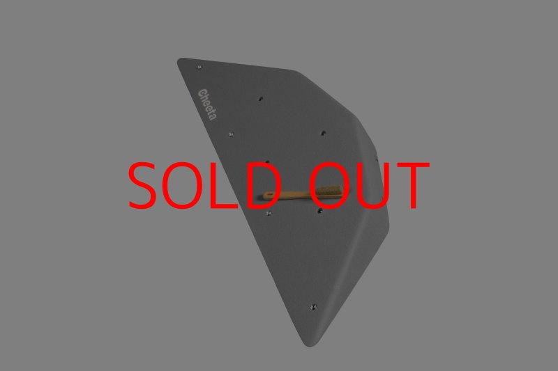 画像2: CT  Ball S3 (2)