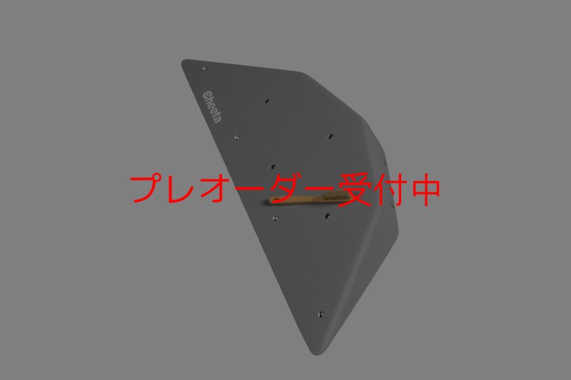 画像2: CT  Ball S3/プレオーダー (2)