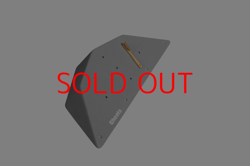 画像21: CT  Ball S2 (21)