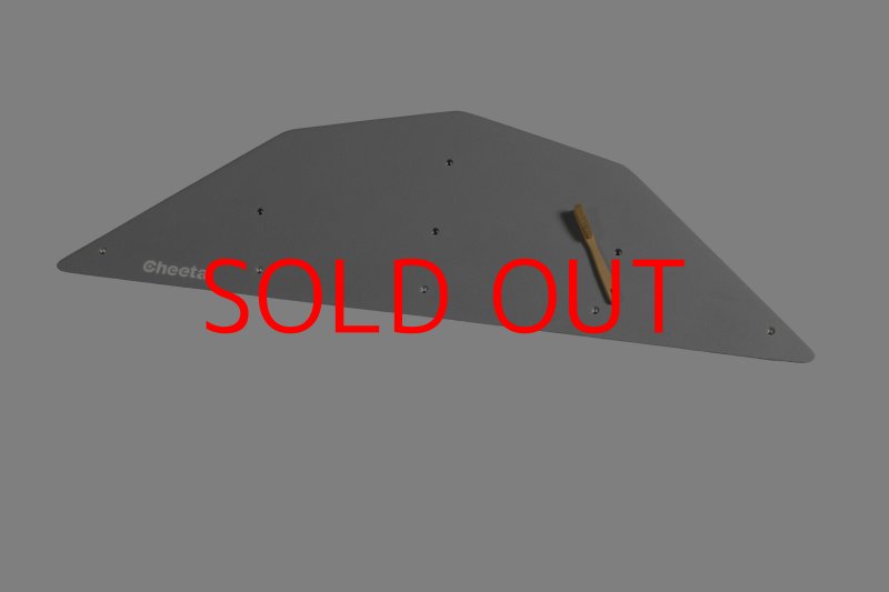 画像6: CT  Ball M3 (6)