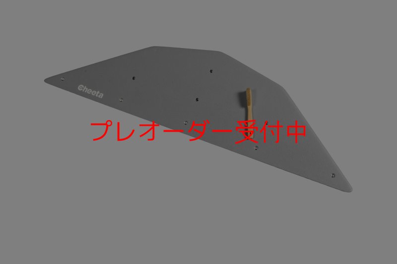 画像8: CT  Ball M4/プレオーダー (8)