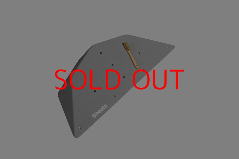 画像22: CT  Ball S2 (22)