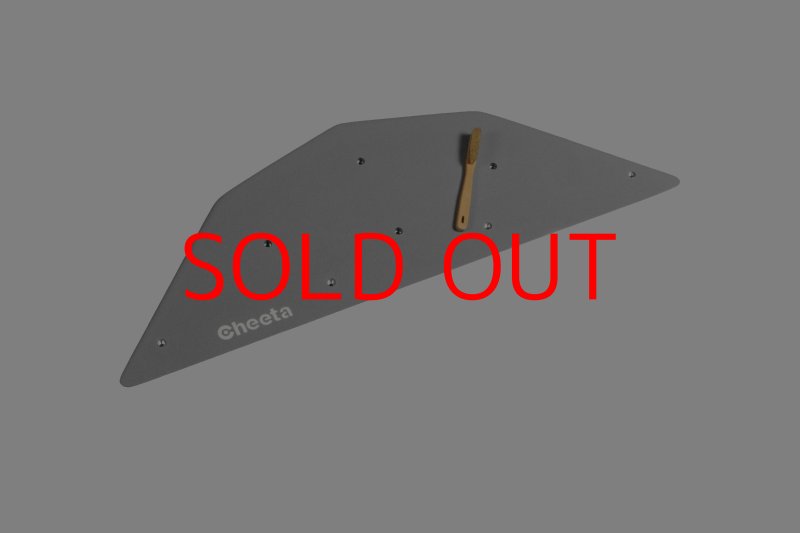 画像24: CT  Ball S3 (24)