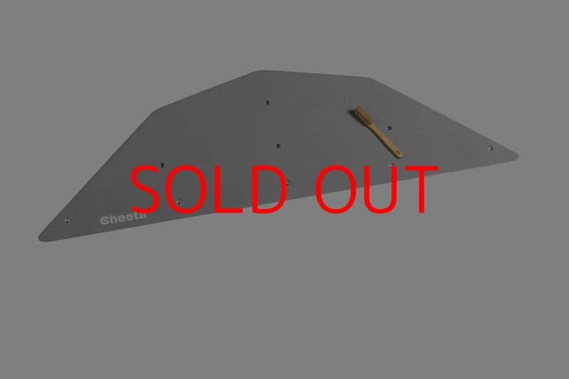 画像4: CT  Ball M3 (4)