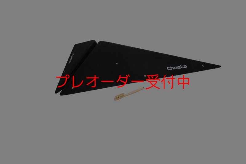 画像2: CT  Starwoods 2/プレオーダー (2)