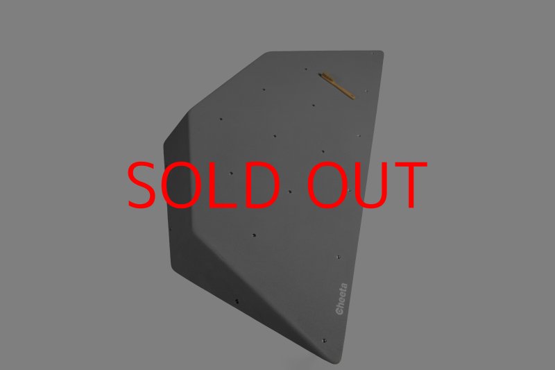 画像21: CT  Ball L1 (21)