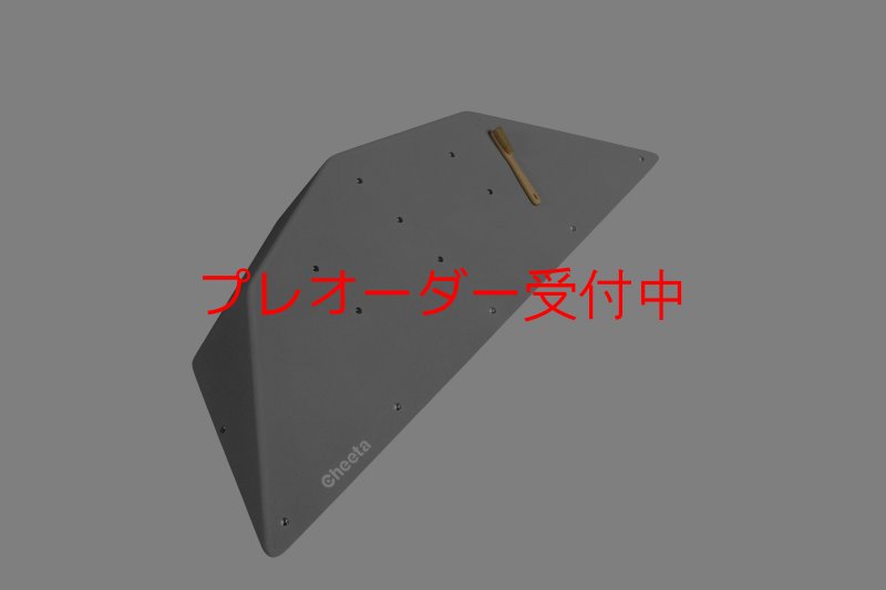 画像1: CT  Ball M2/プレオーダー (1)