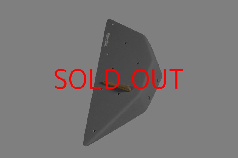 画像4: CT  Ball S3 (4)