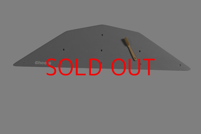 画像6: CT  Ball M4 (6)