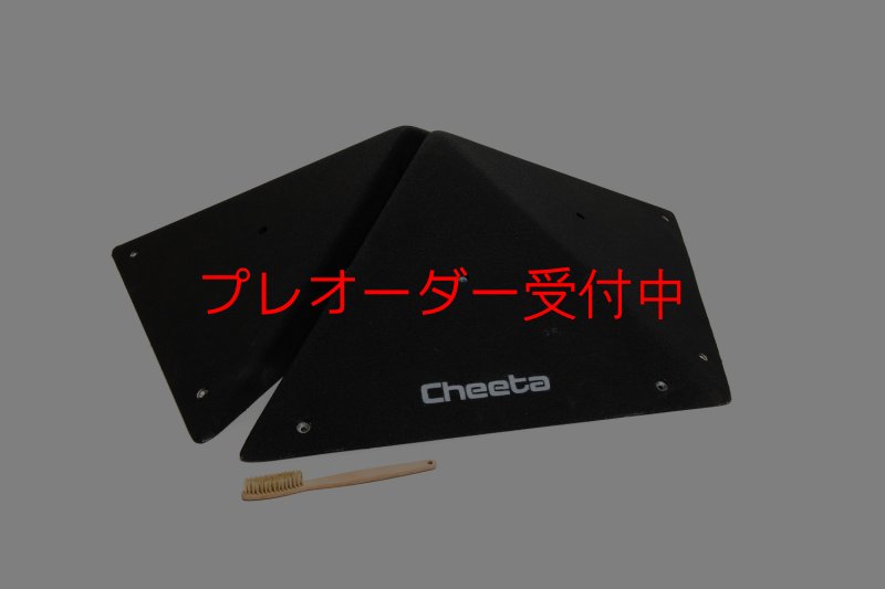 画像1: CT  Pentagon L/プレオーダー (1)
