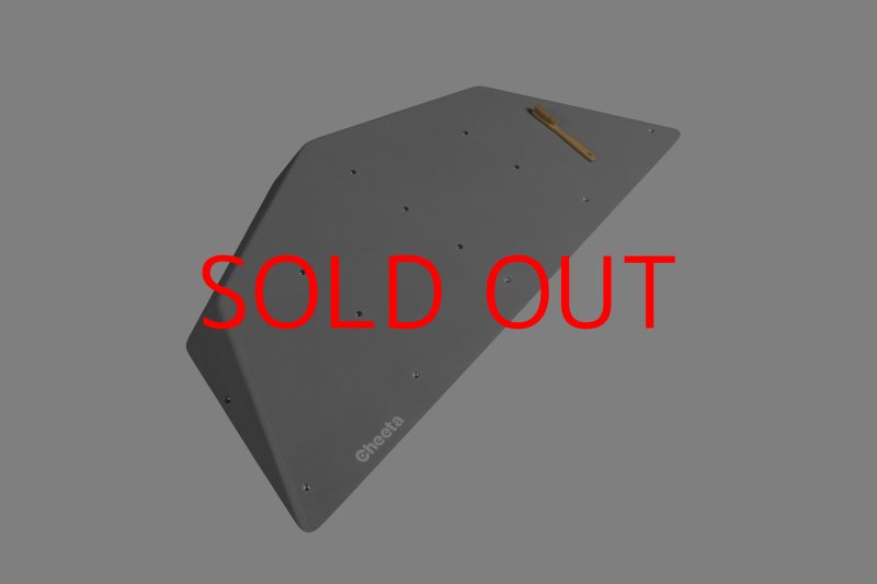 画像29: CT  Ball M1 (29)