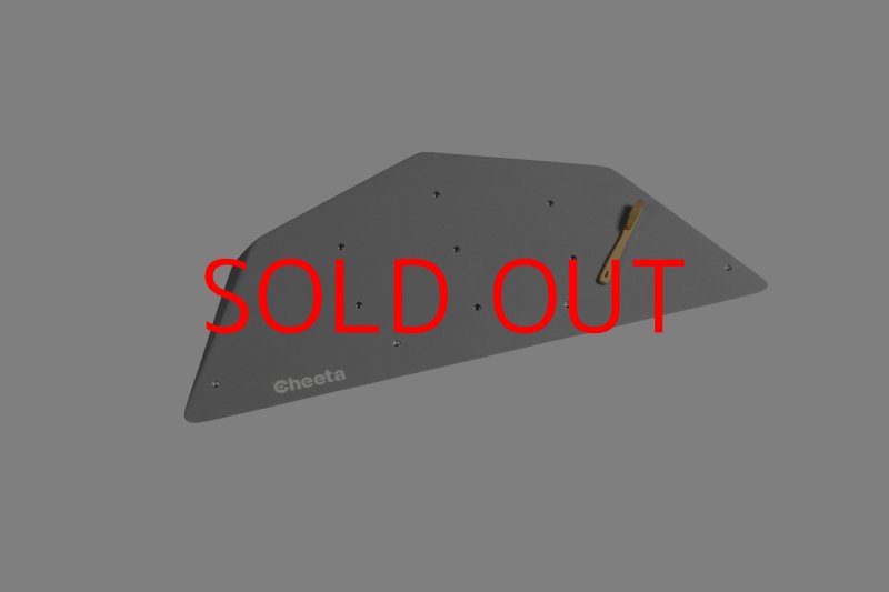 画像26: CT  Ball S1 (26)