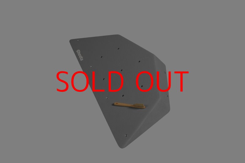 画像3: CT  Ball S1 (3)