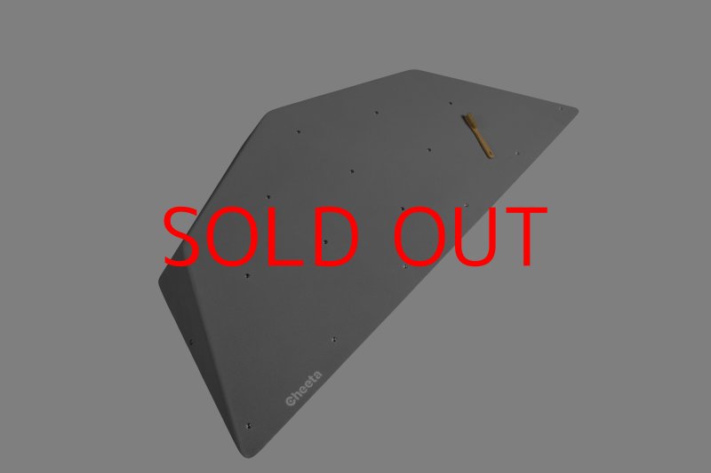 画像23: CT  Ball L1 (23)