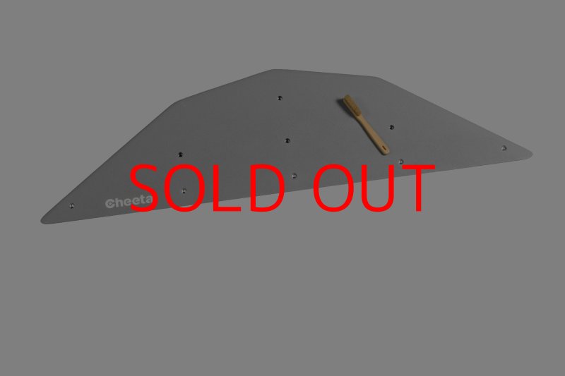 画像5: CT  Ball M4 (5)