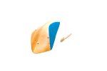 画像20: CT  Wooden boomerangs 2 (20)