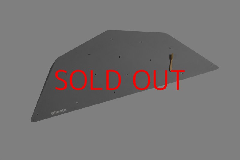 画像26: CT  Ball L1 (26)