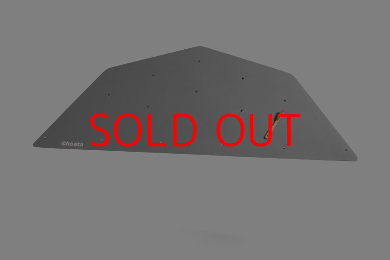 画像28: CT  Ball L1 (28)