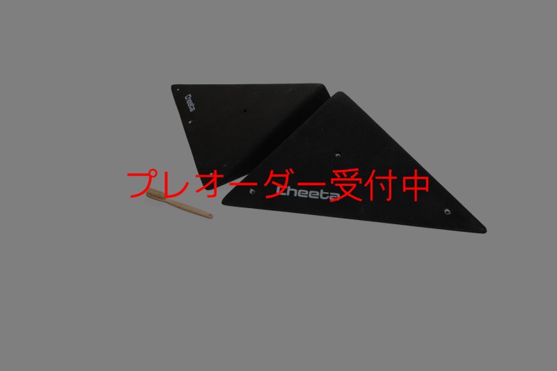 画像6: CT  Starwoods 1/プレオーダー (6)