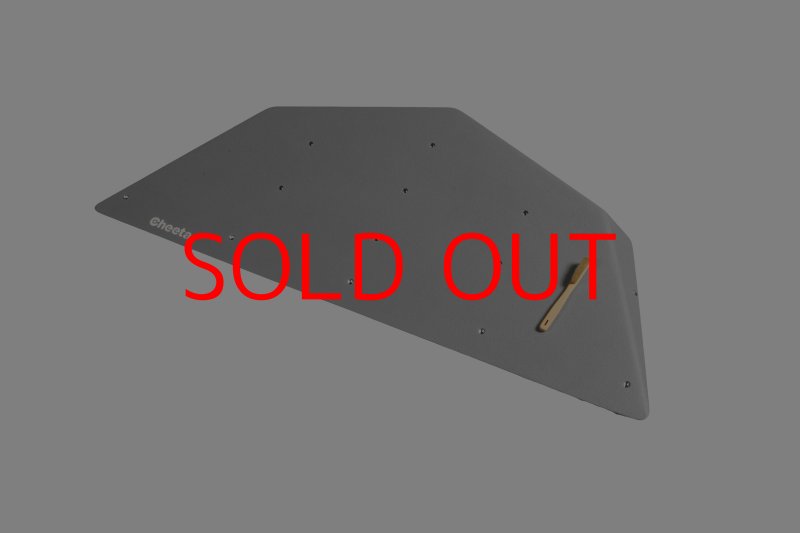 画像7: CT  Ball M1 (7)