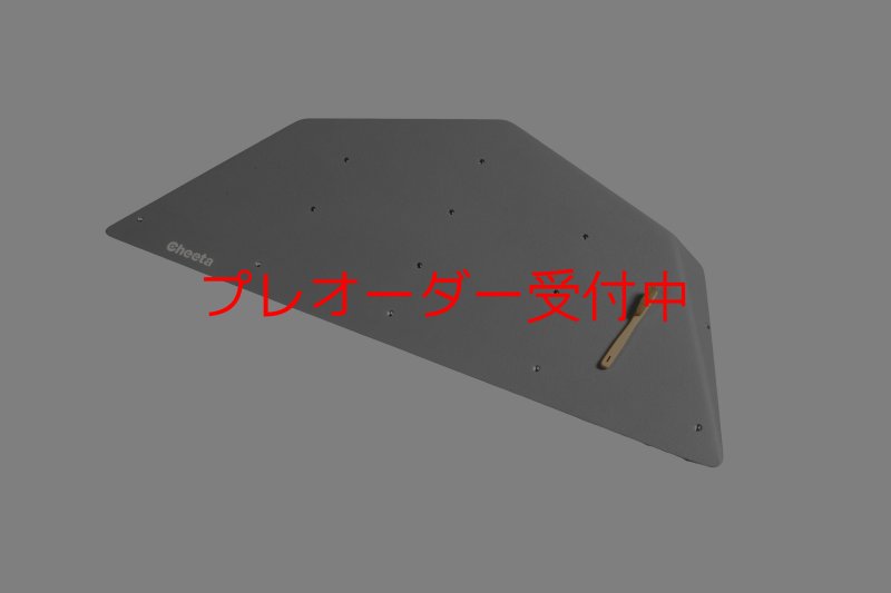 画像7: CT  Ball M1/プレオーダー (7)