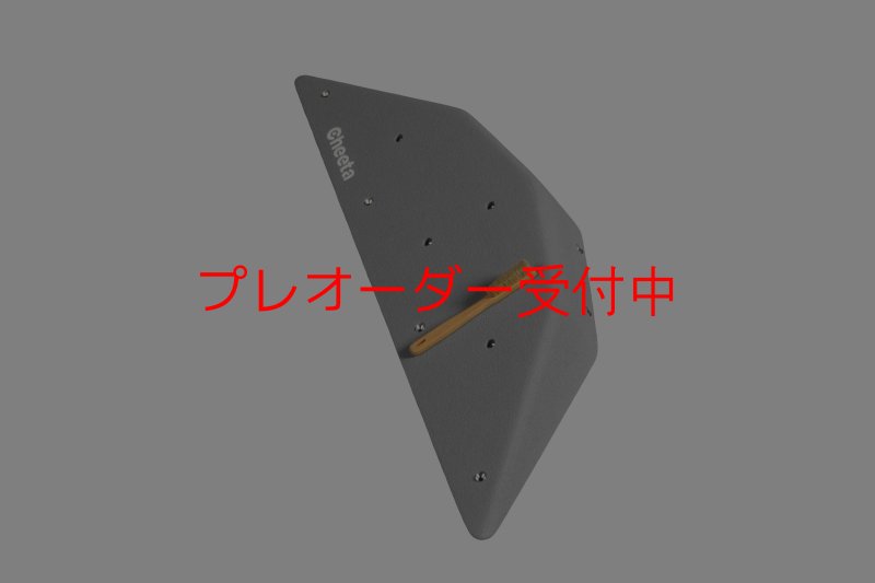 画像2: CT  Ball S4/プレオーダー (2)