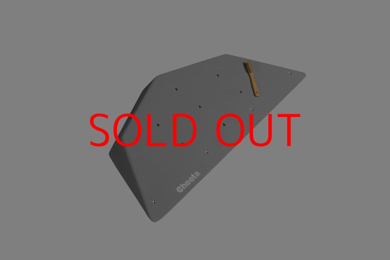 画像23: CT  Ball S1 (23)