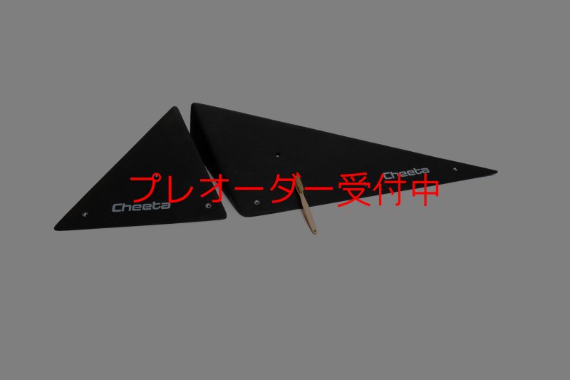 画像1: CT  Starwoods 4/プレオーダー (1)
