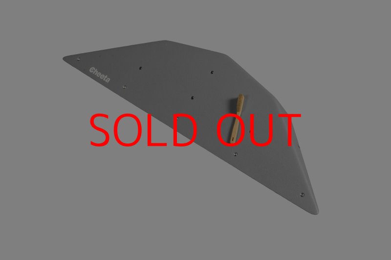 画像9: CT  Ball M4 (9)