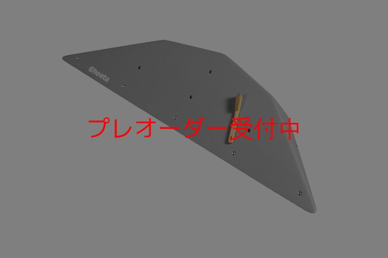 画像9: CT  Ball M4/プレオーダー (9)