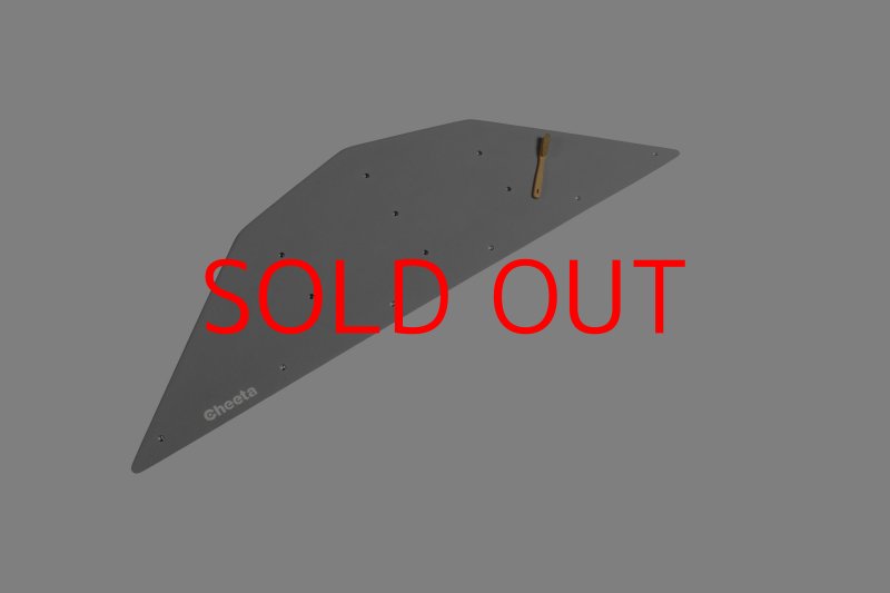 画像23: CT  Ball L4 (23)