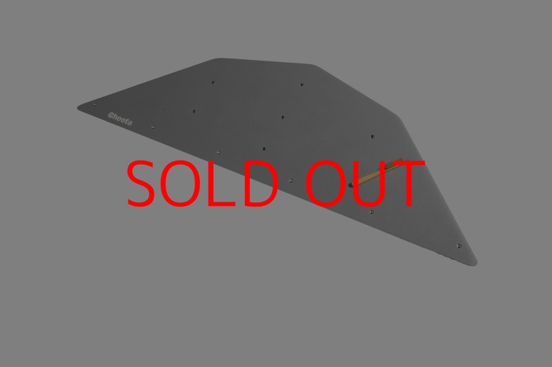 画像29: CT  Ball L3 (29)