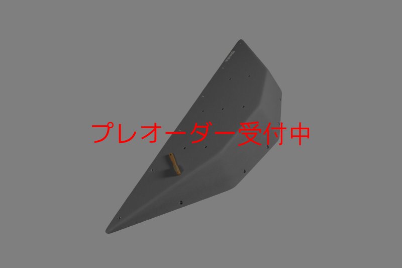 画像6: CT  Ball L4/プレオーダー (6)