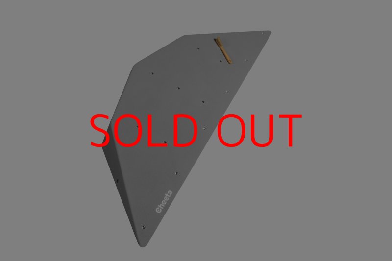 画像21: CT  Ball L3 (21)