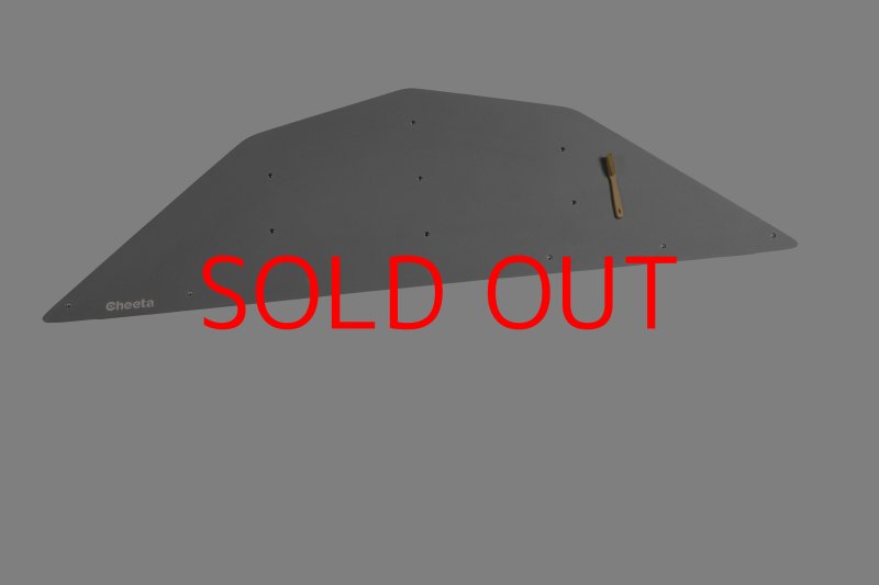 画像26: CT  Ball XL3 (26)