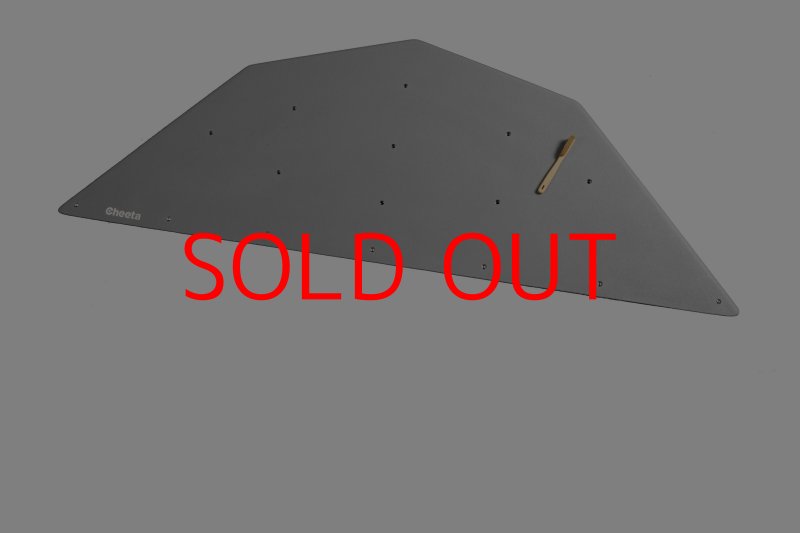 画像29: CT  Ball XL2 (29)