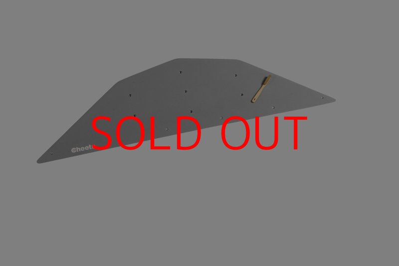 画像25: CT  Ball L4 (25)